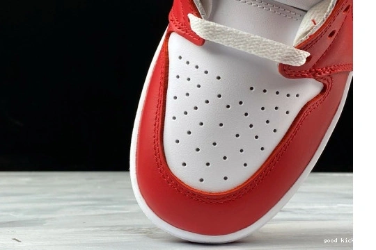 Jordan Pack CQ4921-601 Retro 1 Beginnings CQ4921-601 Air High New 0305